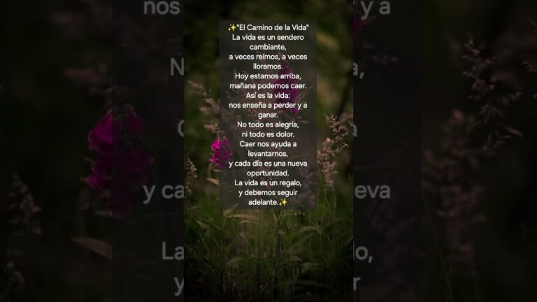 la vida es un regalo frases