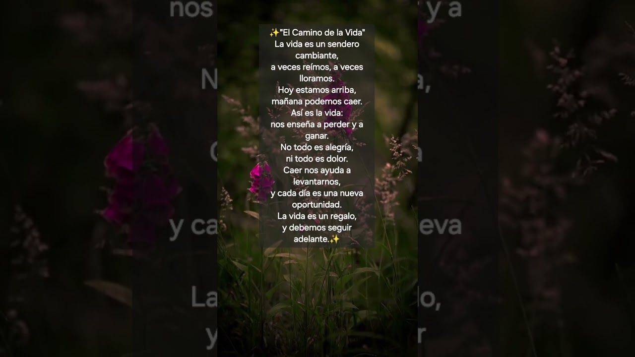 la vida es un regalo frases