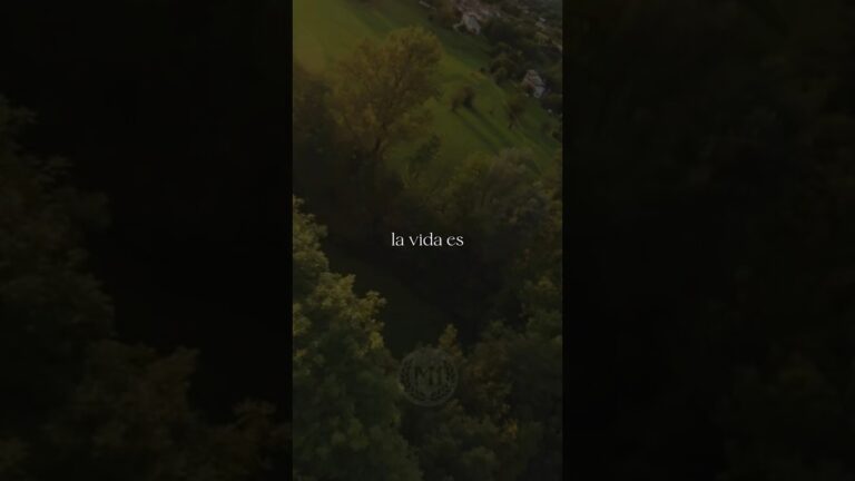 la vida tiene altos y bajos frases