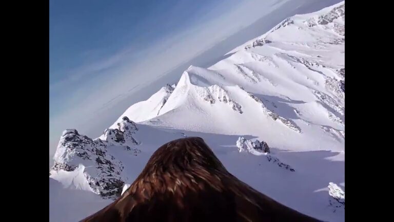 las alas son tuyas y el cielo de nadie