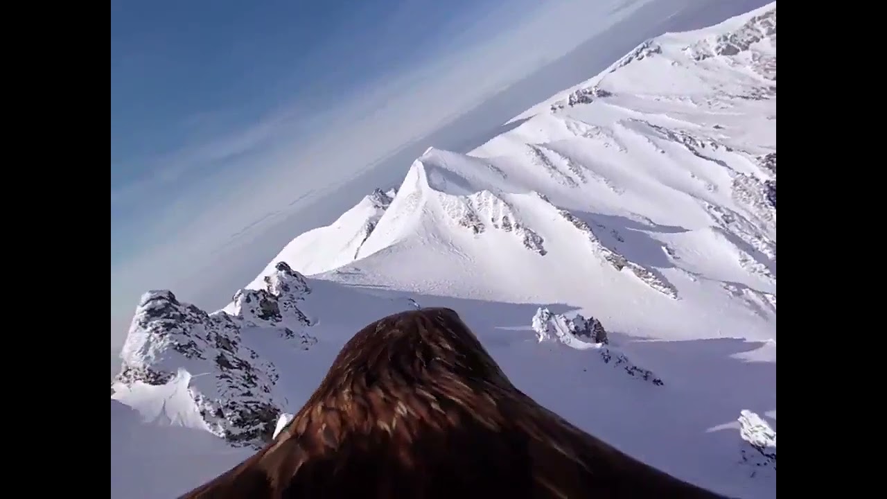 las alas son tuyas y el cielo de nadie