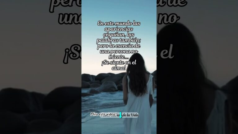 las apariencias engañan reflexiones frases