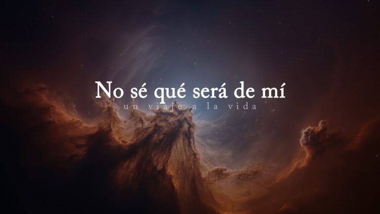 libro un viaje a la vida