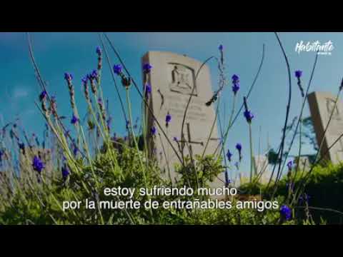 mensaje para un viejo amigo