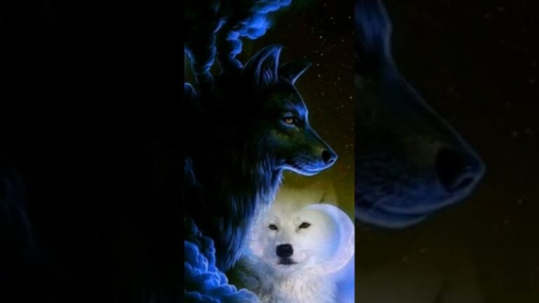 nada es para siempre frases