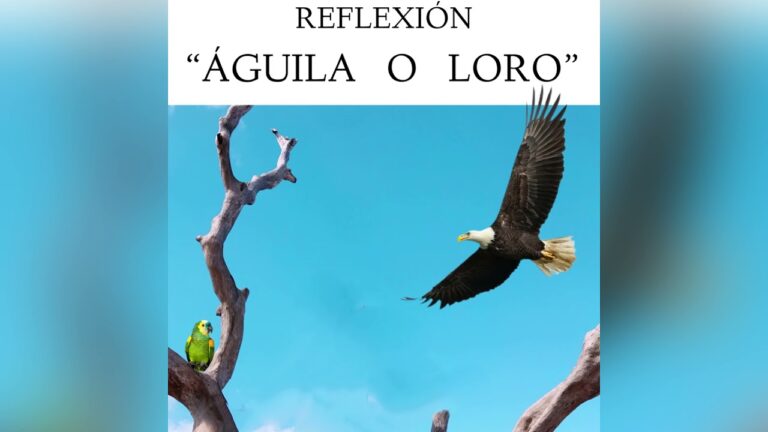 no seas un loro en la vida se un aguila