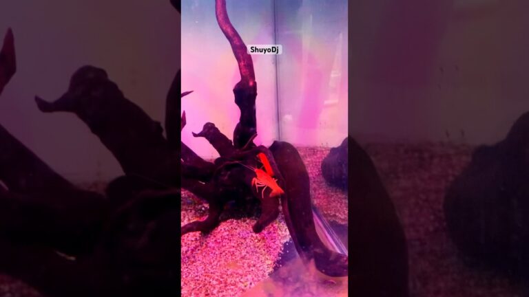 no te aferres a lo que no es tuyo