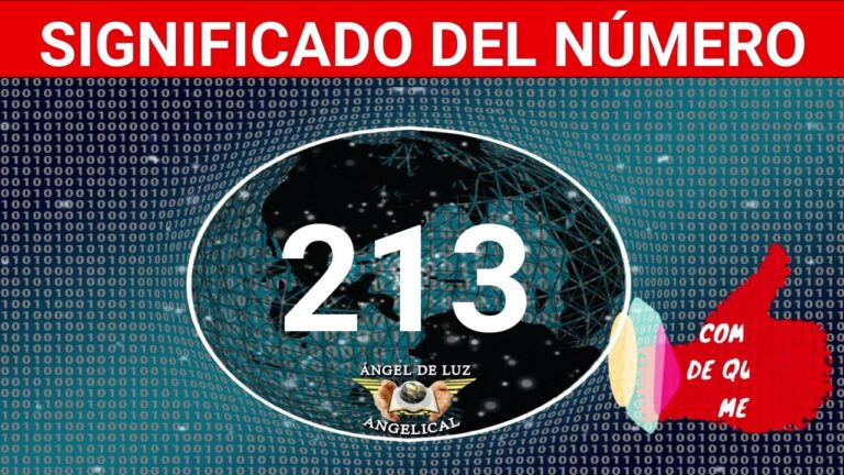 numero 213