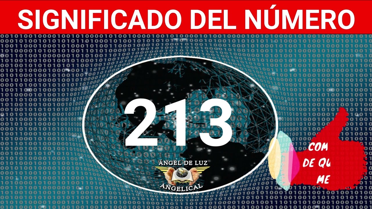 numero 213