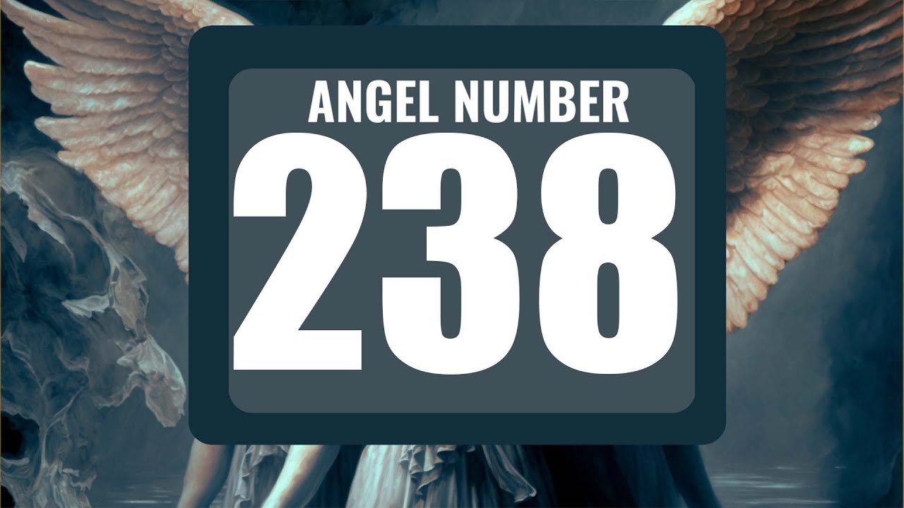 numero 238