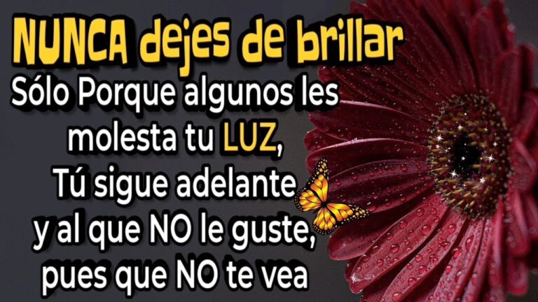 nunca dejes de brillar frases