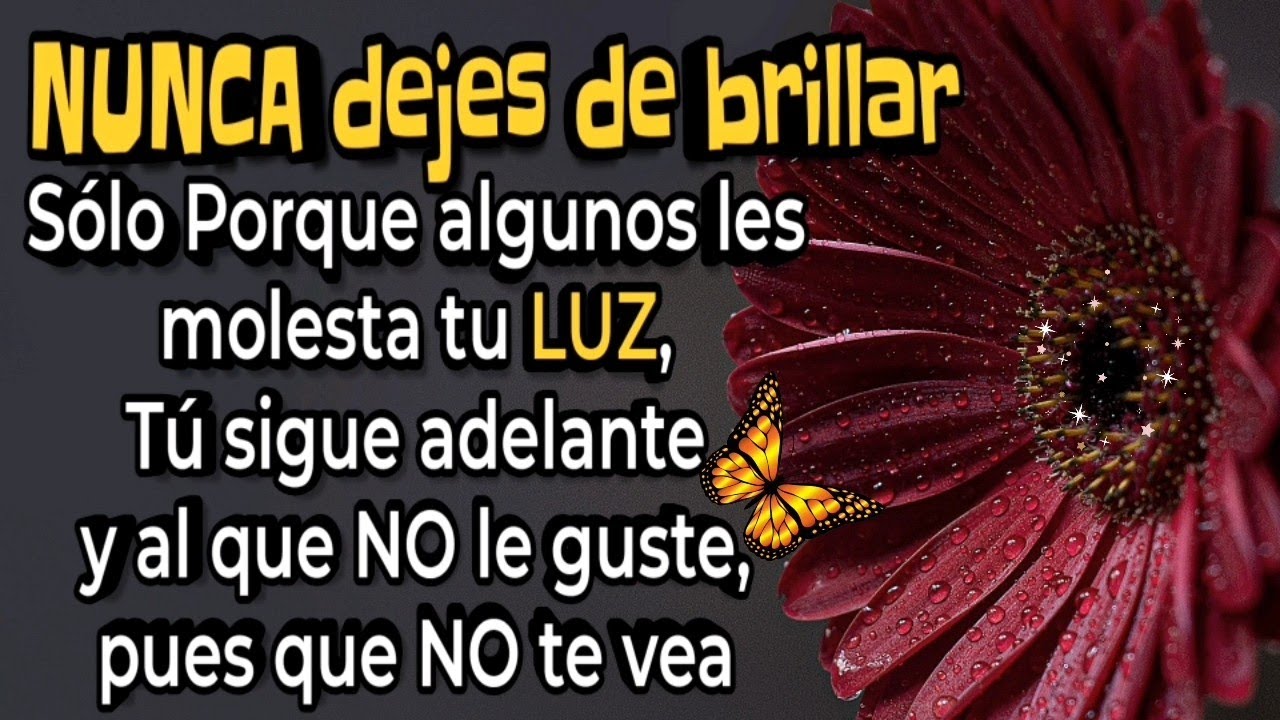 nunca dejes de brillar frases