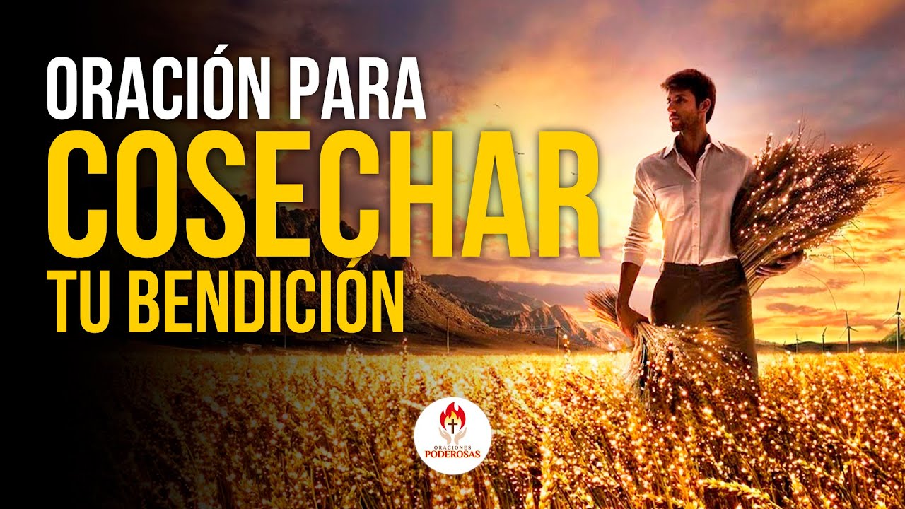 oraciones con la palabra siembra
