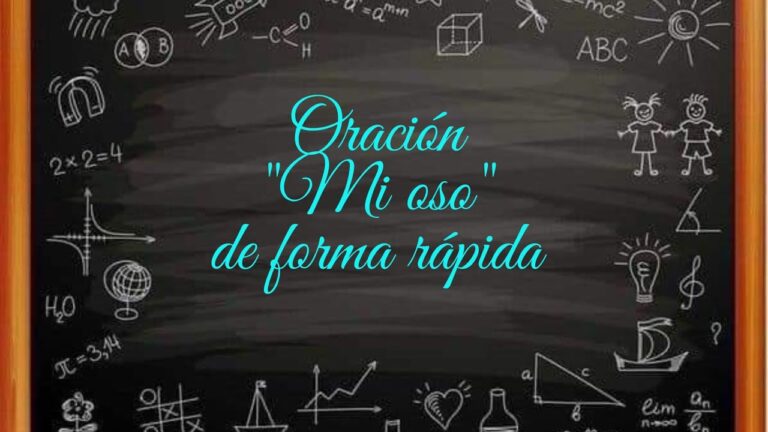oraciones con oso para niños