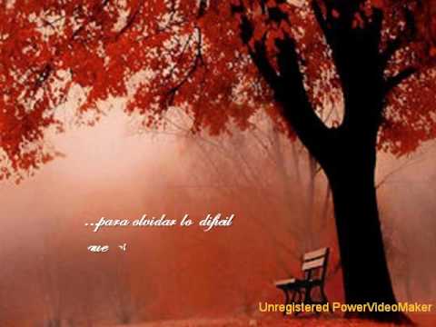 poema de mi alma gemela