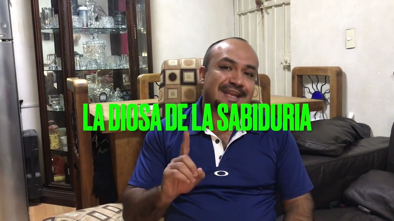 porque los buhos representan a los abogados