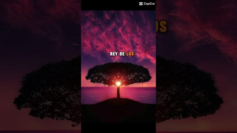 que sea lo que dios quiera frases