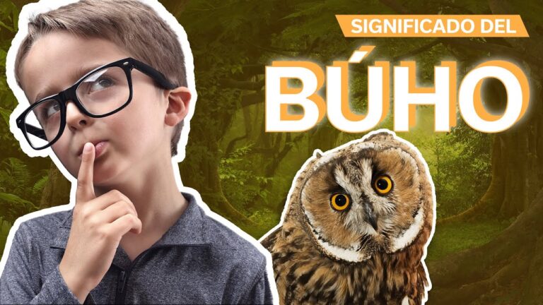 que significa el buho en derecho