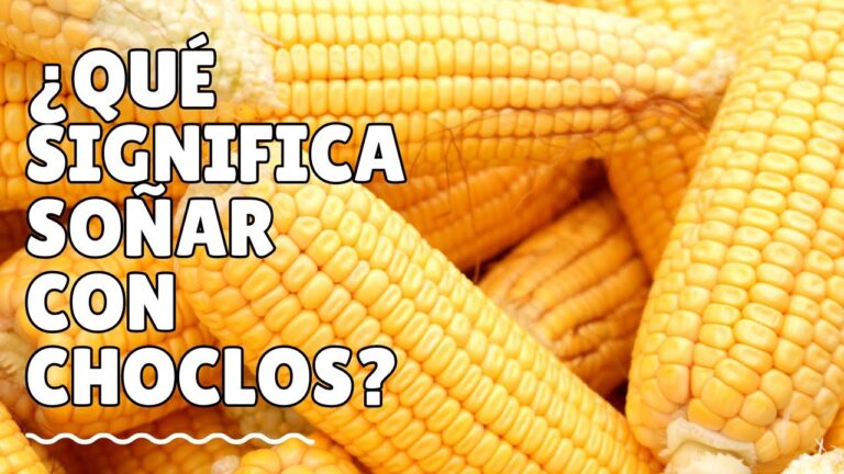 que significa soñar con choclos