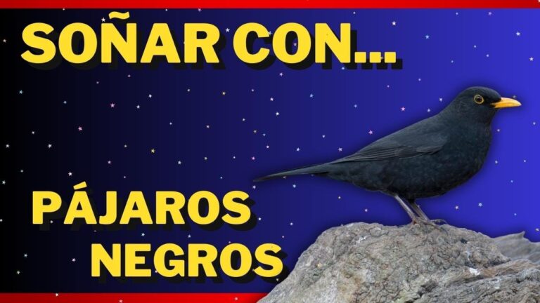 que significa soñar con pajaros negros