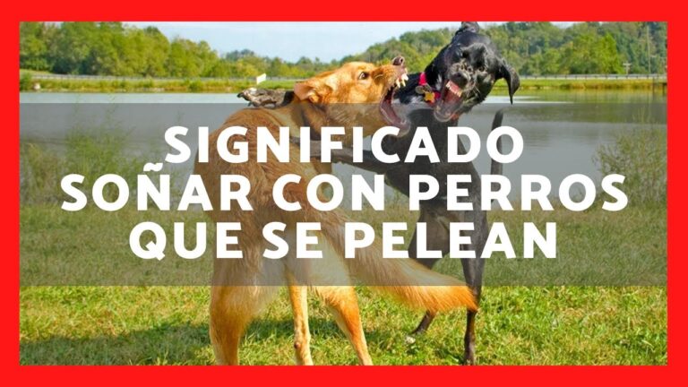 que significa soñar con perros peleando