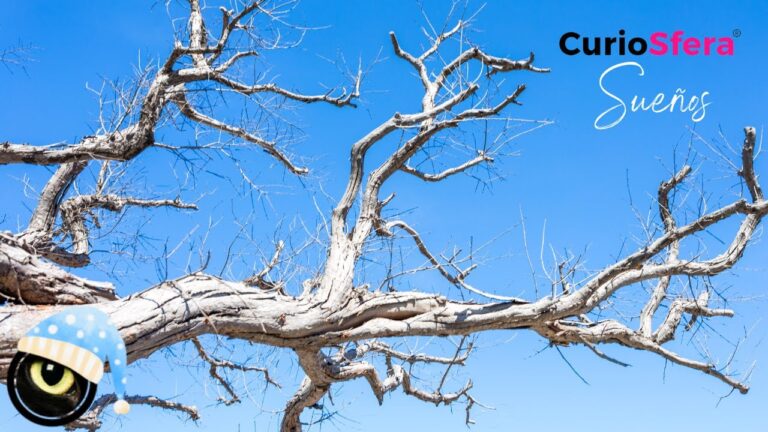 que significa soñar con ramas