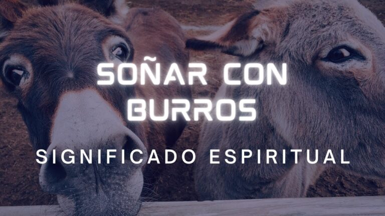 que significa soñar con un burro que me persigue