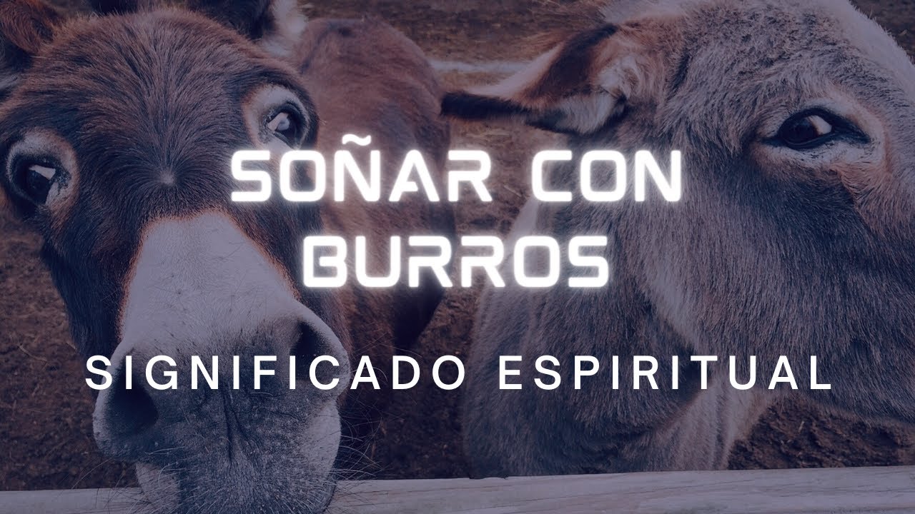 que significa soñar con un burro que me persigue
