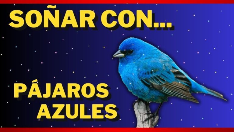 que significa soñar con un pajaro azul