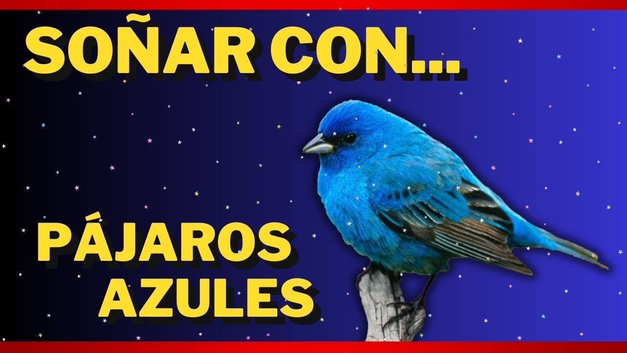 que significa soñar con un pajaro azul