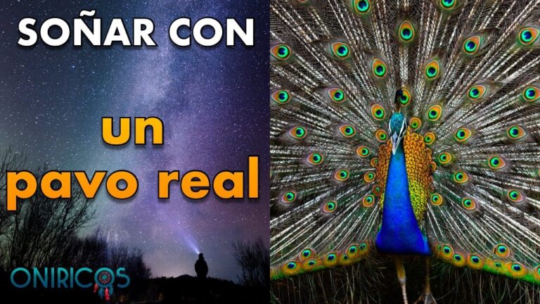 que significa soñar con un pavo real