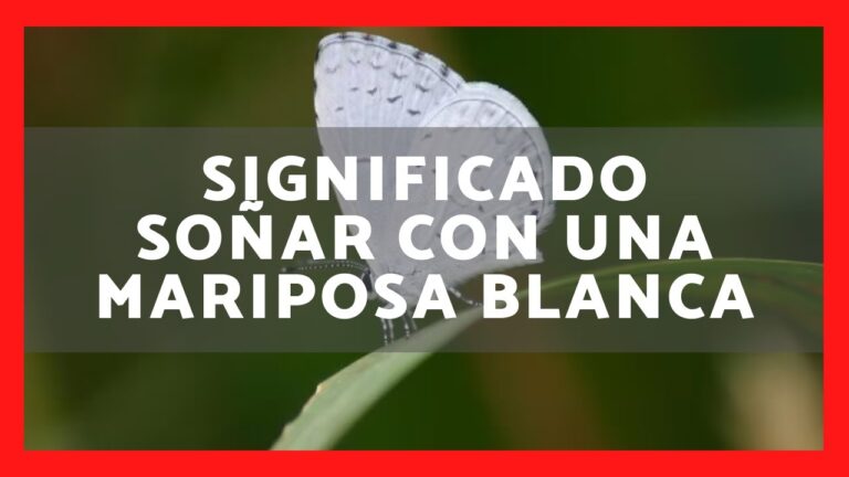 que significa soñar con una mariposa blanca