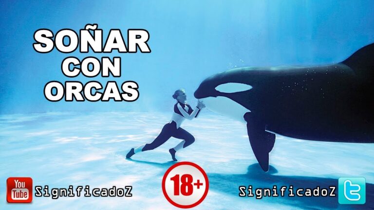 que significa soñar con una orca
