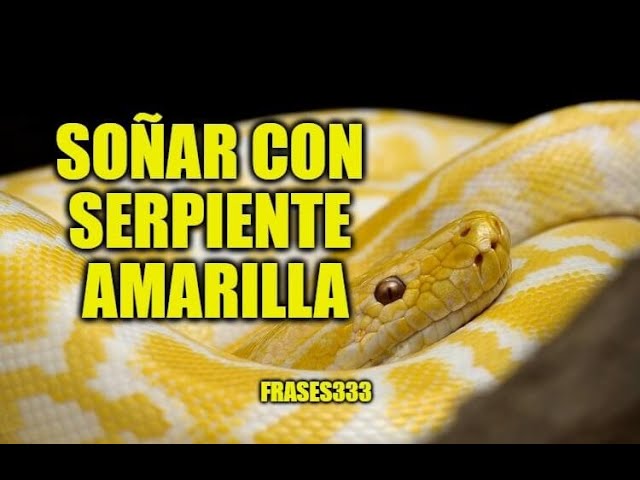 que significa soñar que te muerde una serpiente amarilla