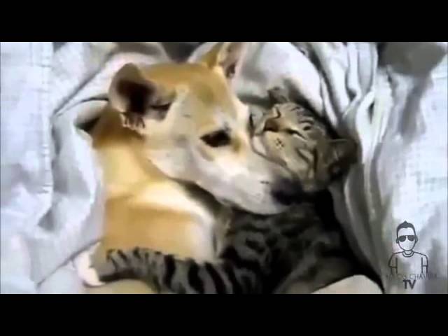 reflexion sobre el planeta tierra eres tu