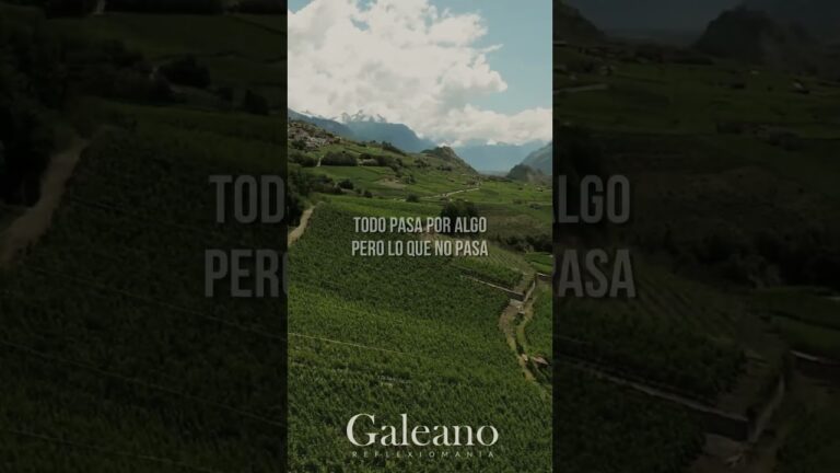 reflexiones al final del dia