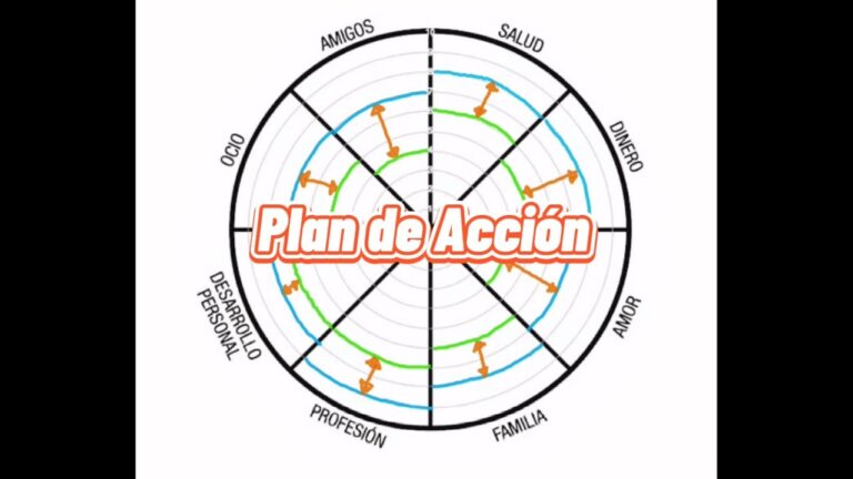 rueda de la vida en blanco