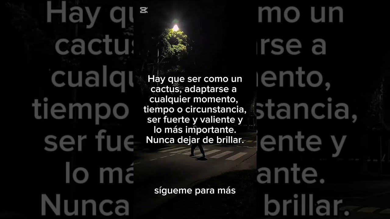 se como el cactus frases