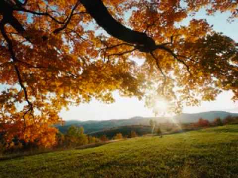 señor dame mas sabiduria para que yo cada dia