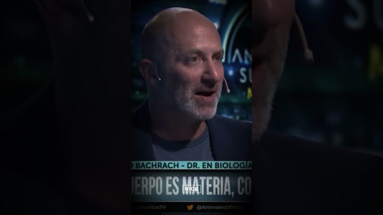 si nunca lo intentas nunca lo sabras