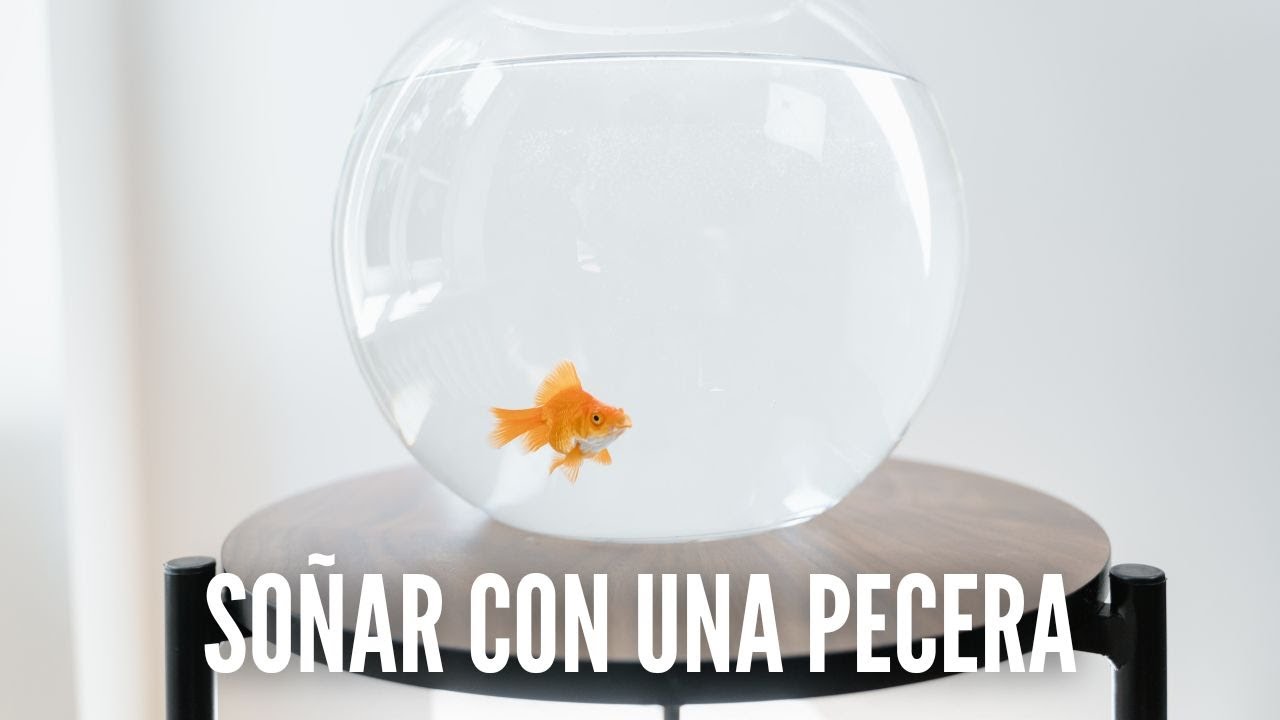 significado de soñar con pecera