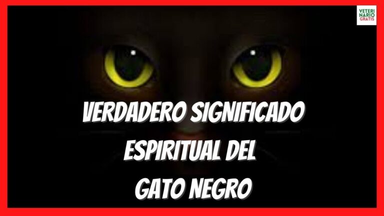 significado espiritual de ver un gato negro