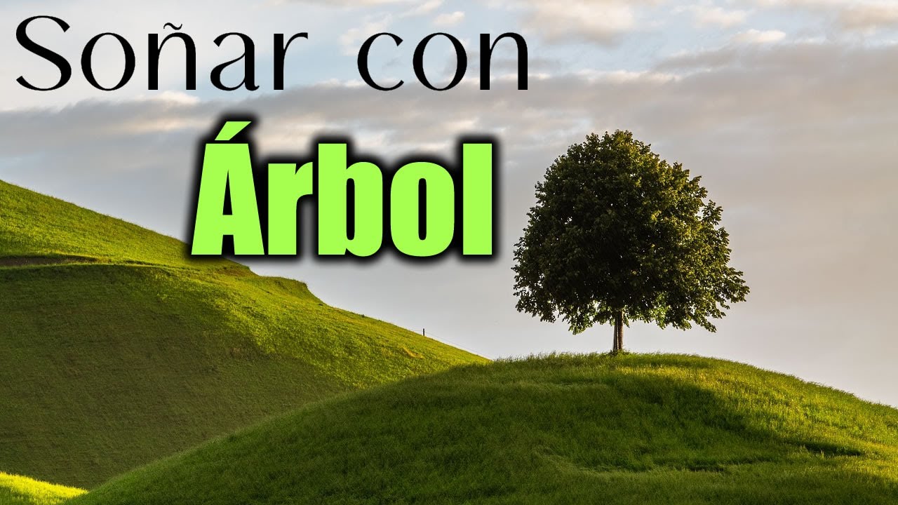 soñar con arboles altos