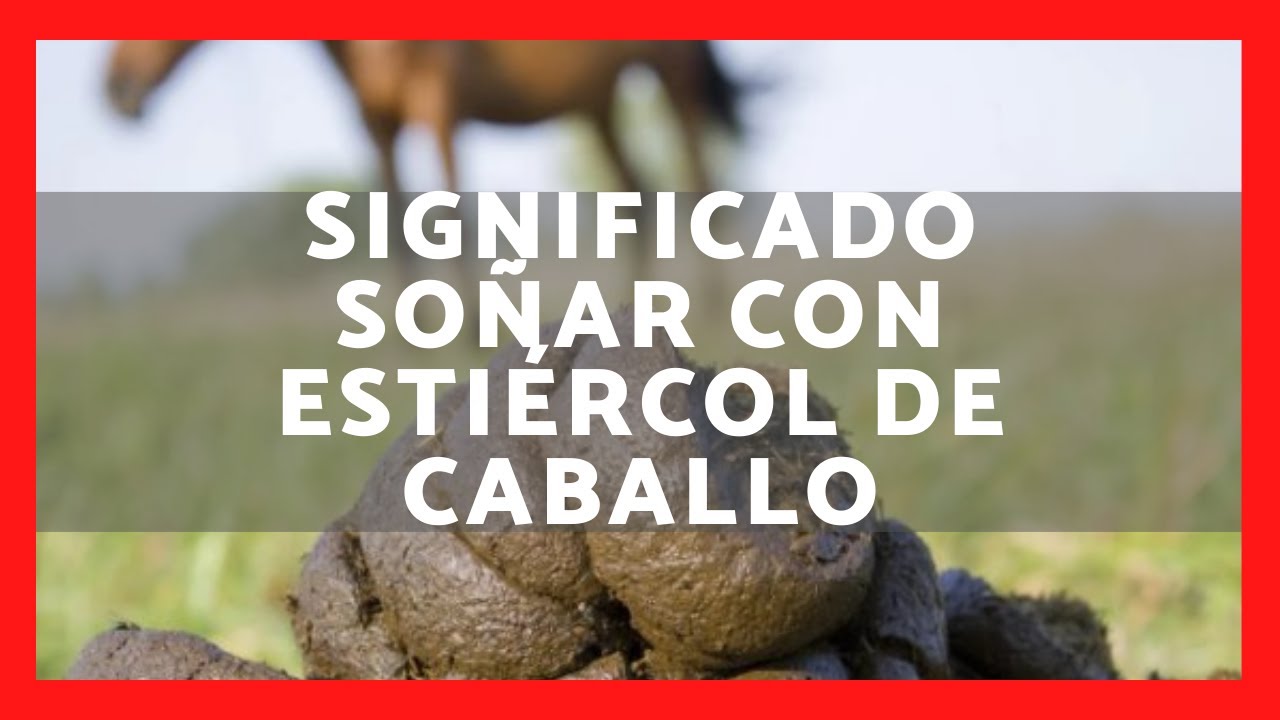 soñar con excremento de caballo