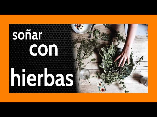 soñar con hierbas medicinales