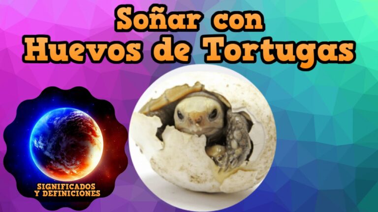 soñar con huevos de tortuga