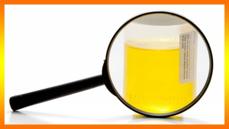 soñar con orina de perro