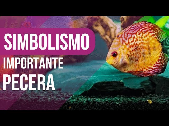 soñar con peces en pecera