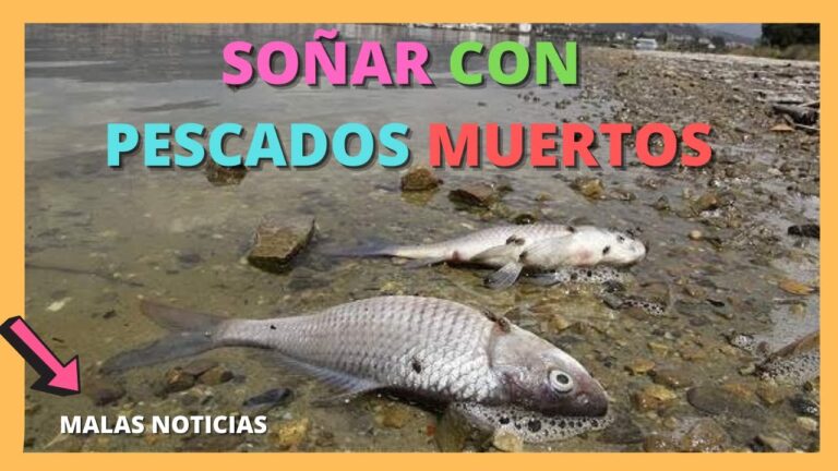 soñar con peces muertos y vivos