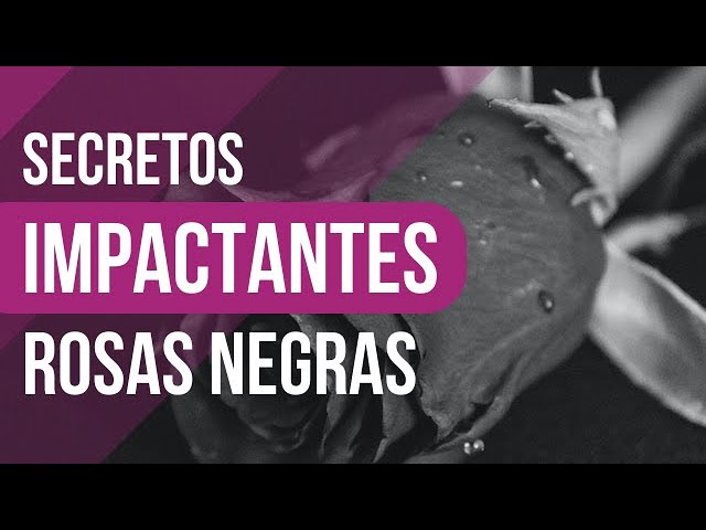 soñar flores negras